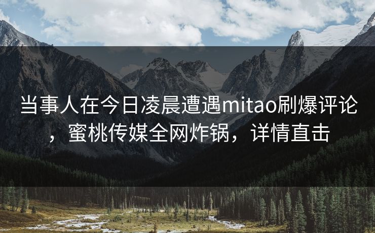 当事人在今日凌晨遭遇mitao刷爆评论，蜜桃传媒全网炸锅，详情直击