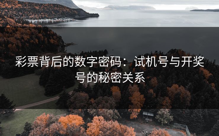 彩票背后的数字密码：试机号与开奖号的秘密关系